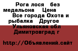 Рога лося , без медальона. › Цена ­ 15 000 - Все города Охота и рыбалка » Другое   . Ульяновская обл.,Димитровград г.